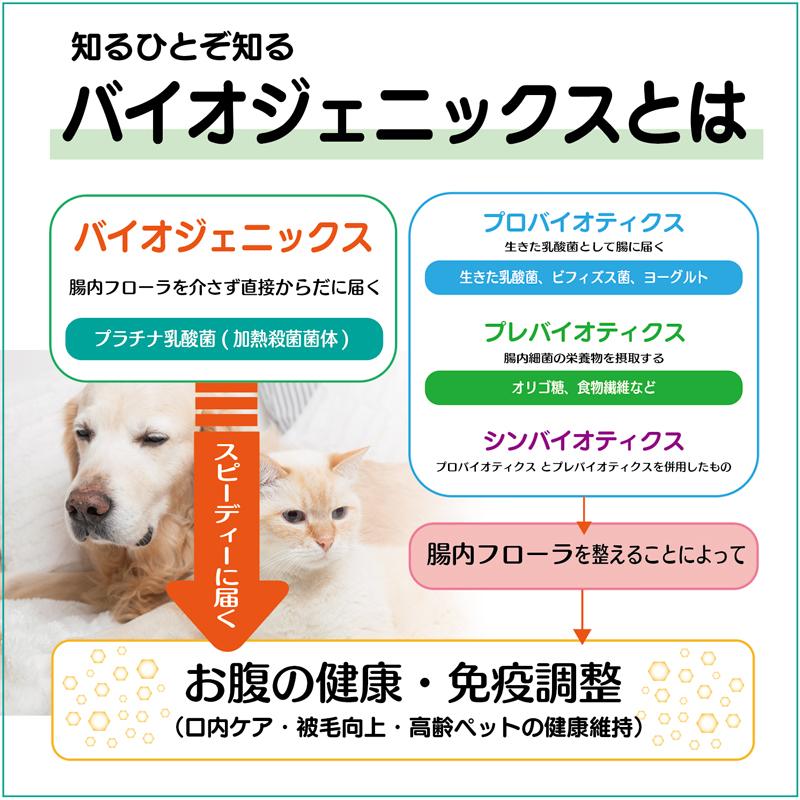 犬 猫 ペット サプリ 免疫力 乳酸菌 国産 便秘 整腸 健康食品 無添加 アレルギーフリー プラチナ乳酸菌5000α  30包入×2｜brmslife｜11