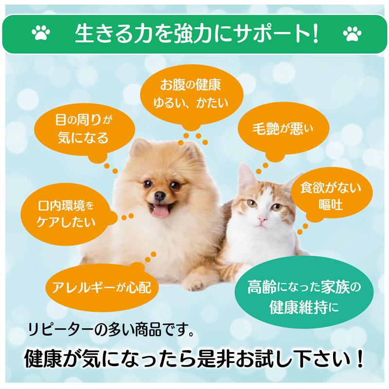 犬 猫 ペット サプリ 免疫力 乳酸菌 国産 便秘 整腸 健康食品 無添加 アレルギーフリー プラチナ乳酸菌5000α  30包入×2｜brmslife｜04