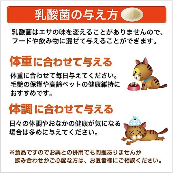 犬 猫 ペット サプリ 免疫力 乳酸菌 国産 便秘 整腸 健康食品 無添加 アレルギーフリー プラチナ乳酸菌5000α  30包入×2｜brmslife｜15