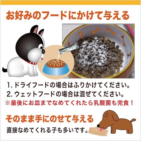 犬 猫 ペット サプリ 免疫力 乳酸菌 国産 便秘 整腸 健康食品 無添加 アレルギーフリー プラチナ乳酸菌5000α  30包入×2｜brmslife｜14