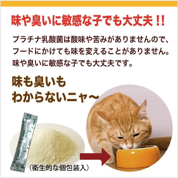 犬 猫 ペット サプリ 免疫力 乳酸菌 国産 便秘 整腸 健康食品 無添加 アレルギーフリー プラチナ乳酸菌5000α  30包入×2｜brmslife｜16