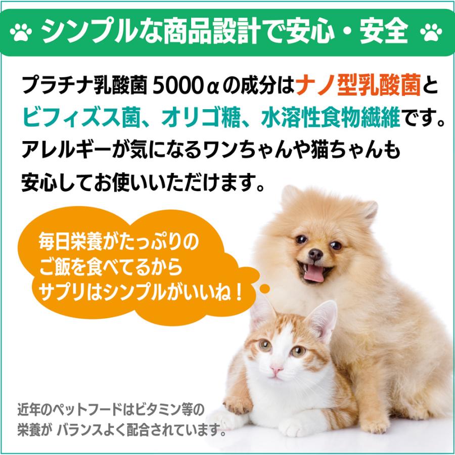 犬 猫 乳酸菌 ペット サプリ わん にゃん サプリメント 免疫力 国産