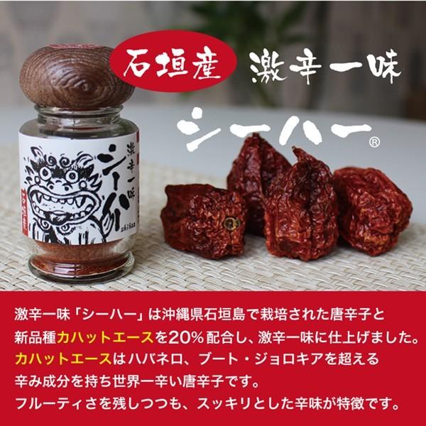 激辛唐辛子 一味 シーハー15g 瓶詰め6本セット 送料無料 辛旨料理 スパイス 島唐辛子 石垣島 Rp 15 6p 乳酸菌ラボ 通販 Yahoo ショッピング