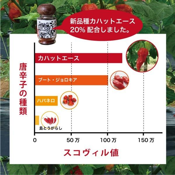 激辛唐辛子 一味 シーハー15g 瓶詰め6本セット 送料無料 辛旨料理 スパイス 島唐辛子 石垣島 Rp 15 6p 乳酸菌ラボ 通販 Yahoo ショッピング