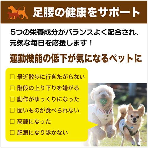 猫 犬 関節 サプリ RUN ラン プロテタイト グルコサミン コンドロイチン ビタミンD3 プラチナ乳酸菌 口腔 炎症 ひざ 骨 皮膚 被毛 免疫 腸活 顆粒5包入×1｜brmslife｜04