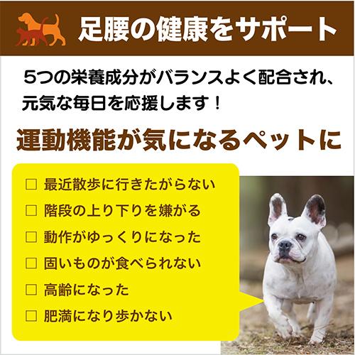 犬 関節 サプリ RUN ラン プロテタイト グルコサミン コンドロイチン ビタミンD3 プラチナ乳酸菌 口腔 炎症 ひざ 骨 皮膚 被毛 免疫 腸活 サポート 60粒入×4｜brmslife｜04