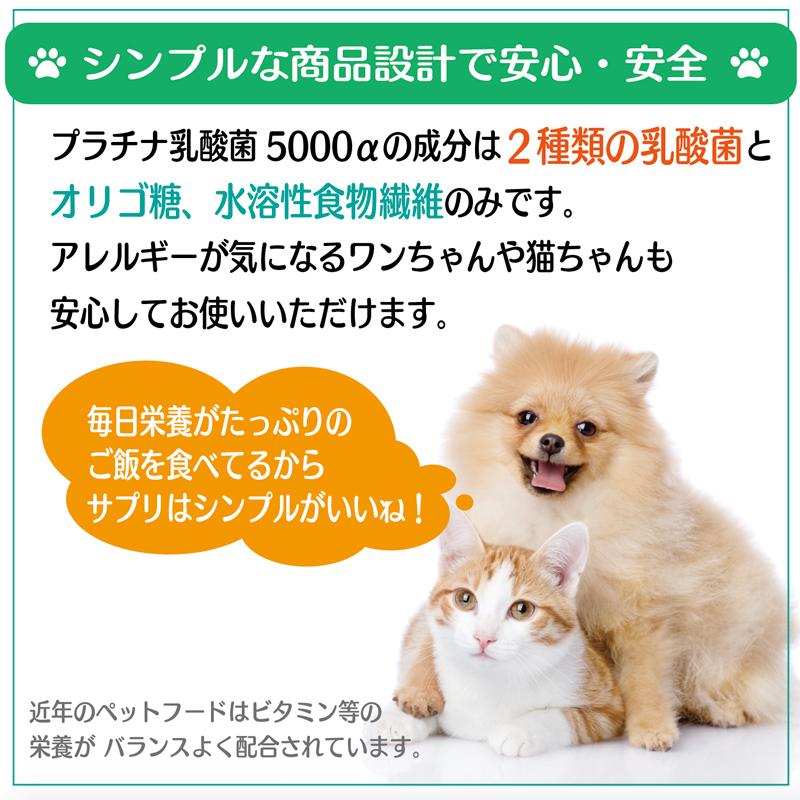 猫　犬　プラチナ乳酸菌1000α 5袋　★選べるおまけ付き★ 犬 猫 乳酸菌 ペットサプリ 動物用サプリメント 免疫力 国産 便秘 整腸