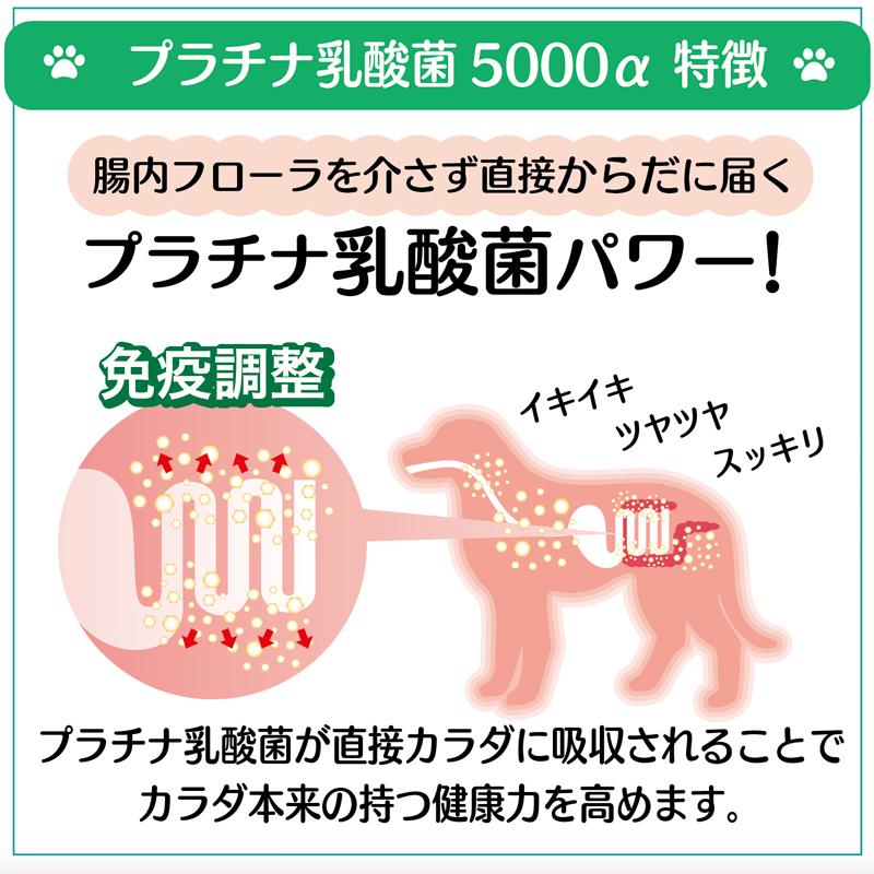 プラチナ乳酸菌5000α‬ 犬猫サプリメント 犬 猫 乳酸菌 ペットサプリ 動物用サプリメント 免疫力 国産