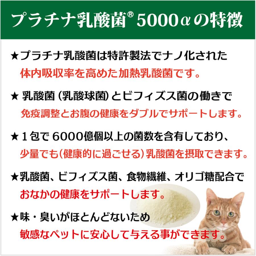 犬 猫 乳酸菌 ペット サプリ わん にゃん サプリメント 免疫力 国産