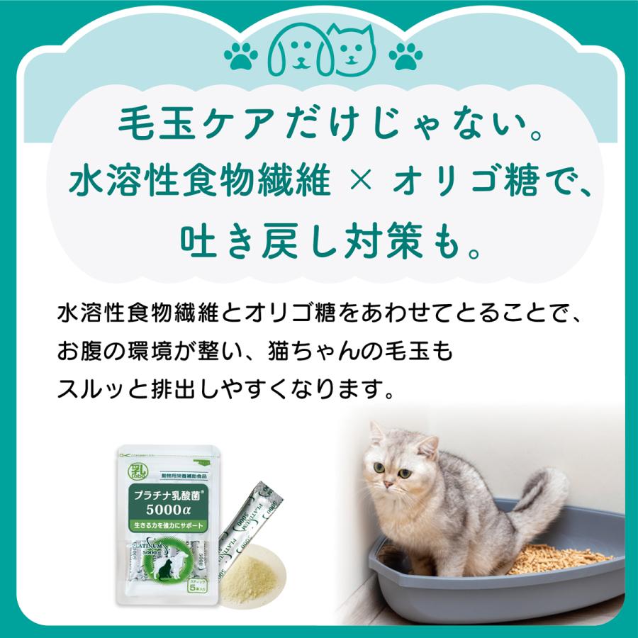犬 猫 サプリ プラチナ乳酸菌5000α 30包(4袋セット） お腹の健康維持