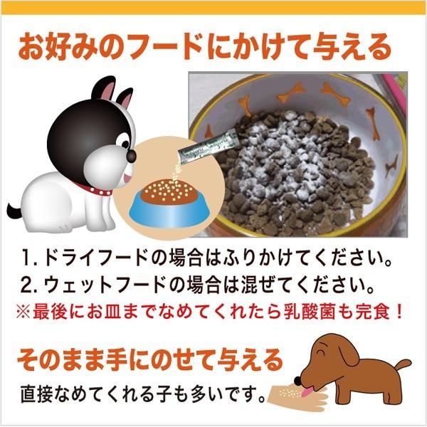 犬 猫 乳酸菌 ペット サプリ わん にゃん サプリメント 免疫力 国産