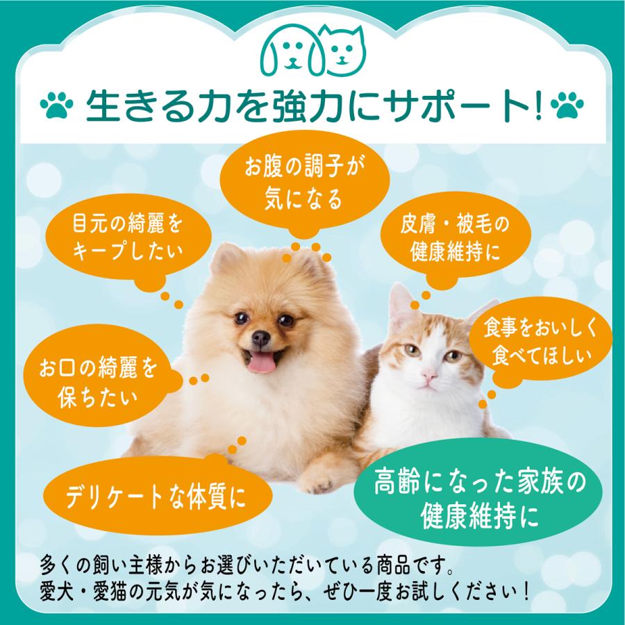 犬 猫 サプリ プラチナ乳酸菌5000α 30包(4袋セット） お腹の健康維持