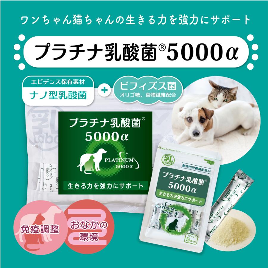 犬 猫 サプリ 免疫 整腸 プラチナ乳酸菌5000α 30包入 ペット