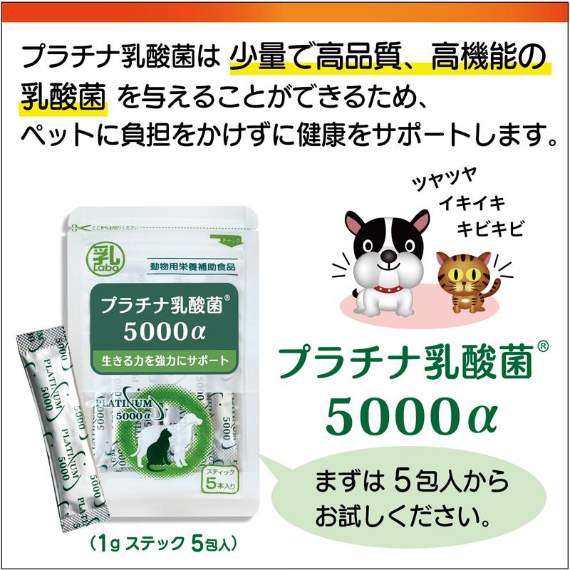 プラチナ乳酸菌　犬　猫兼用 Amazon.co.jp: 犬猫用乳酸菌 プラチナ乳酸菌1000α 120粒入×1袋