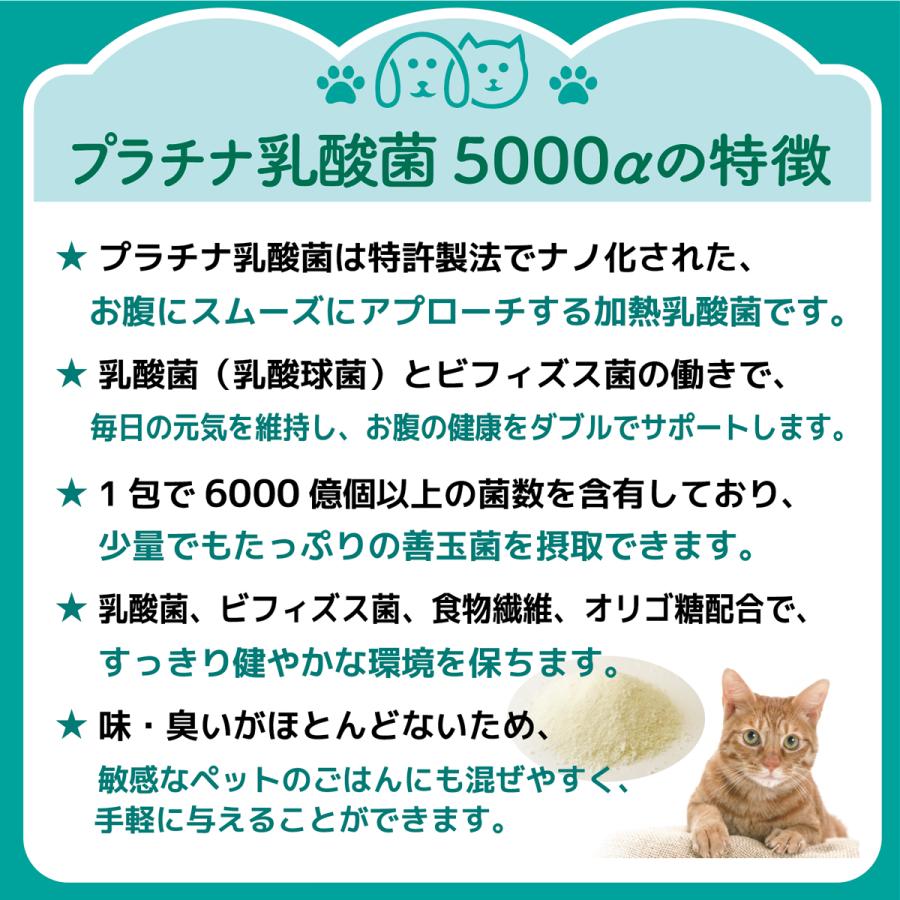 犬 猫 サプリ 免疫 整腸 プラチナ乳酸菌5000α 30包入 ペット