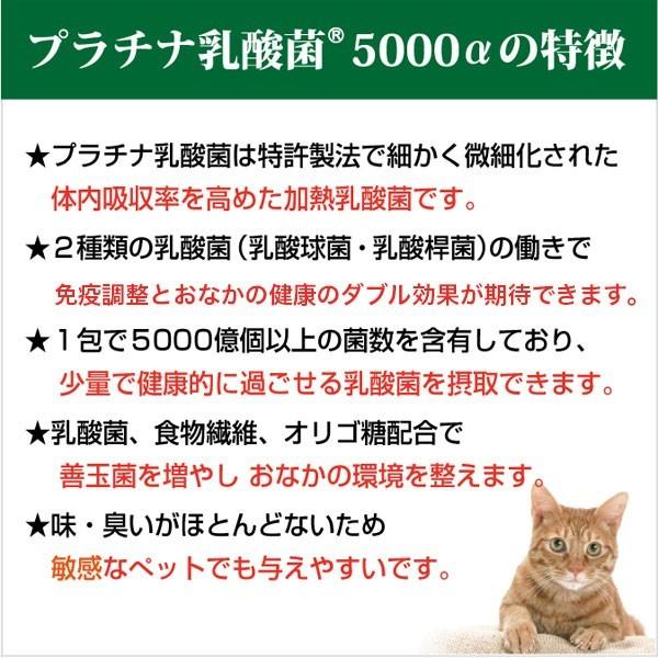 犬 猫 ペット サプリ 免疫力 乳酸菌 国産 便秘 整腸 健康食品 無添加 アレルギーフリー プラチナ乳酸菌5000α 30包入×１｜brmslife｜03