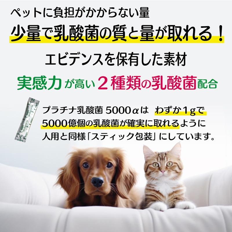 犬 猫 乳酸菌 ペットサプリ 動物用サプリメント 免疫力 国産 便秘 整腸