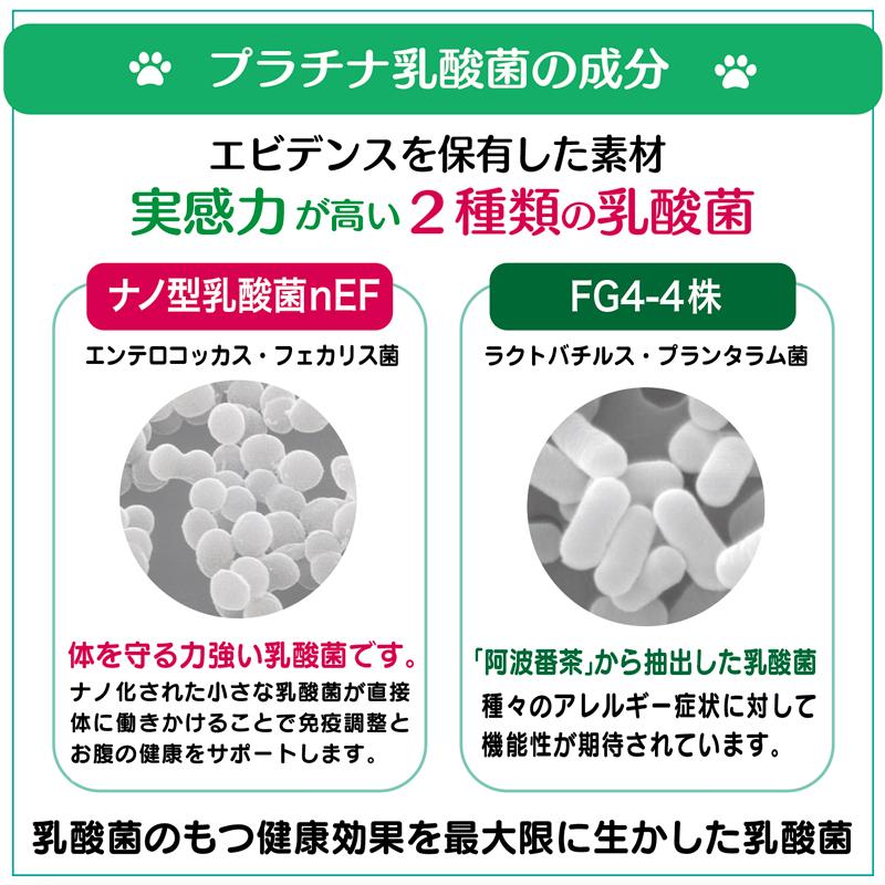 ☆桃ちゃーママ☆プラチナ乳酸菌5000α 50包入り 犬 猫 乳酸菌 ペットサプリ 動物用サプリメント 免疫力 国産 便秘 整腸