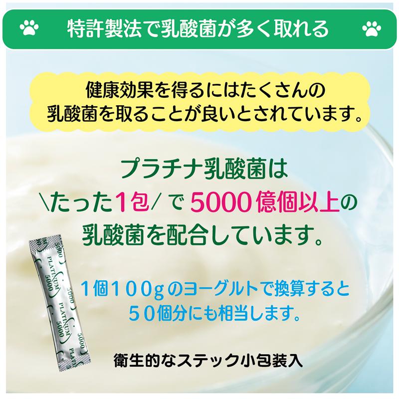 「300円OFFクーポン配布中！」乳酸菌 サプリ 猫 犬 ペット 国産  乳酸菌ラボ 便秘 免疫力 整腸 無添加 アレルギーフリー プラチナ乳酸菌5000α  5包入×2｜brmslife｜08