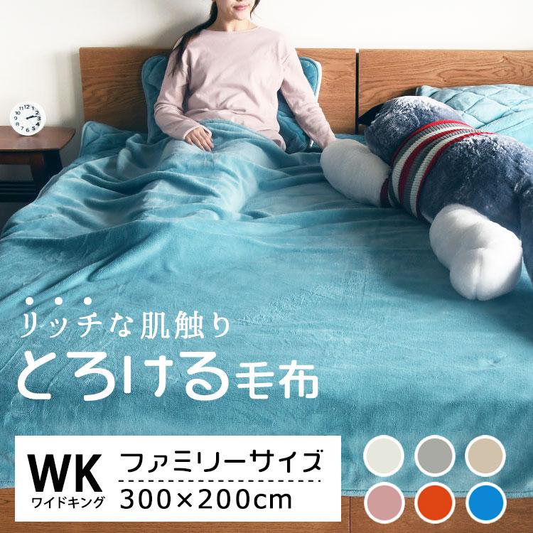毛布 ファミリー 吸湿発熱 暖かい あったか毛布 ふわふわ毛布 毛布 ファミリー 吸湿発熱 暖かい あったか毛布 ふわふわ毛布