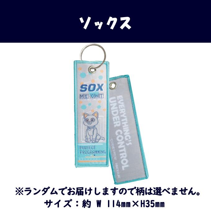 Disney バズ・ライトイヤー フライトタグ LIGHTYEAR ディズニー