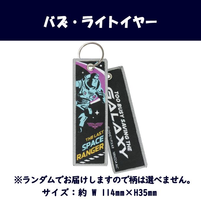 Disney バズ・ライトイヤー フライトタグ LIGHTYEAR ディズニー