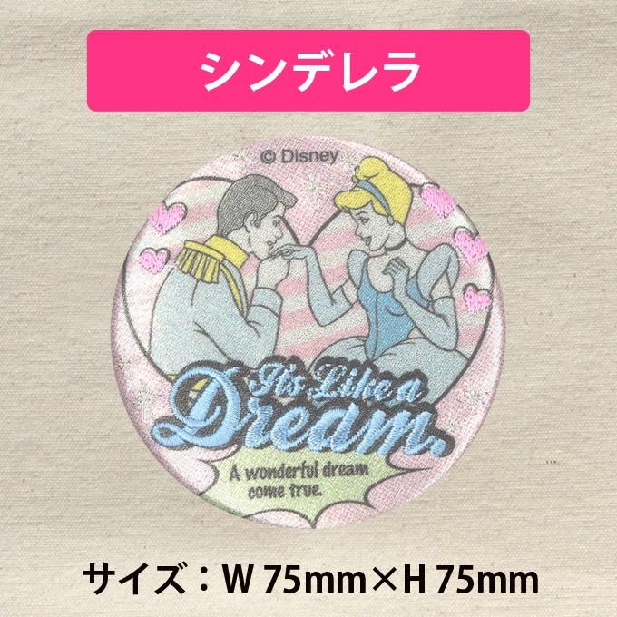 Disney（ディズニー） 手鏡 コンパクトミラー プリンセス アナと雪の