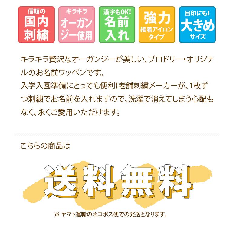 ブロドリー お名前ワッペン フェルト 星型 同色5枚 ネームワッペン