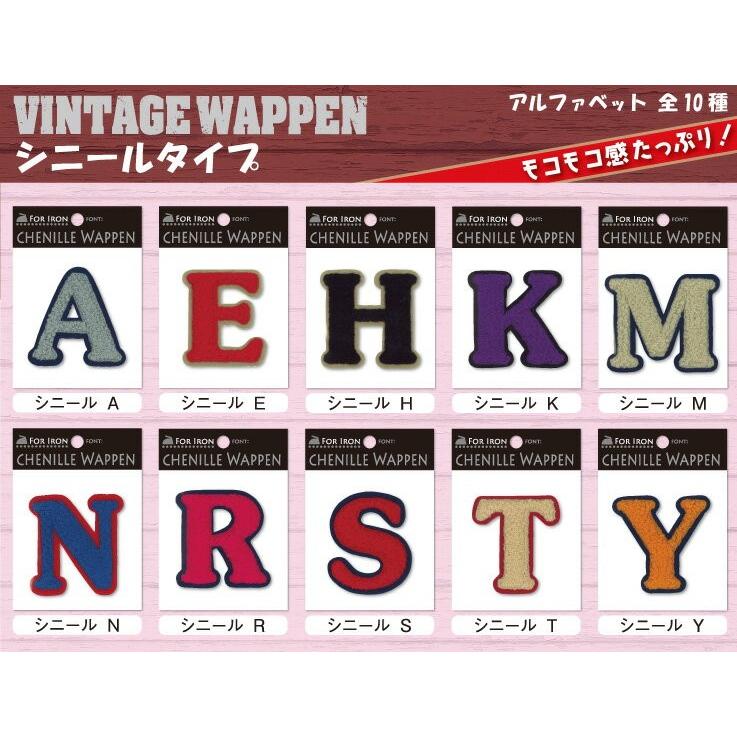 ブロドリー 文字ワッペン アルファベット シニール 1枚 名前 アイロン