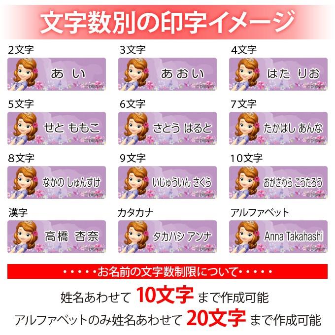 お名前シール タグ用シール ちいさなプリンセスソフィア ディズニー 2点セット 防水 防水 耐水 食洗機 レンジ ノンアイロン 送料無料 Pr Ss Nas Sof 001 名入れ入園グッズ通販 ブロドリー 通販 Yahoo ショッピング