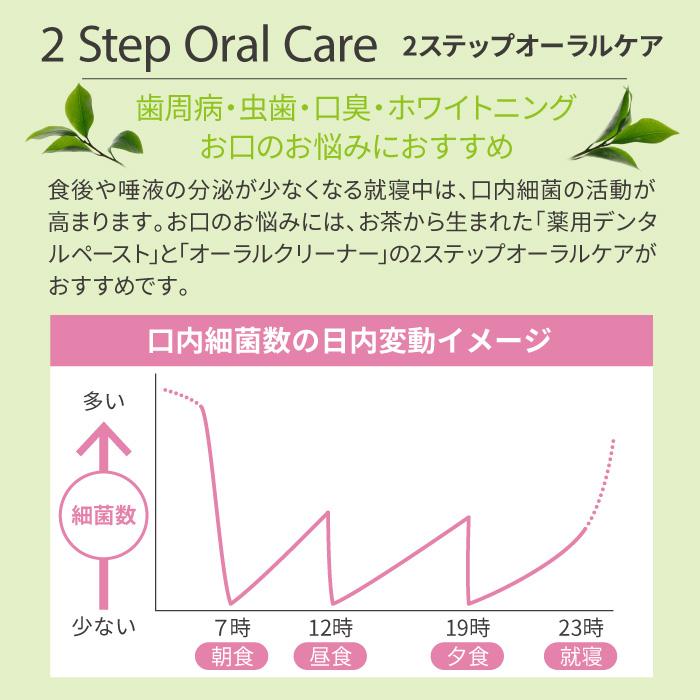 オーラルケア 歯みがき粉 グリーンティー 薬用デンタルペースト 2本