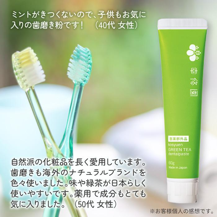 オーラルケア 歯みがき粉 グリーンティー 薬用デンタルペースト 2本