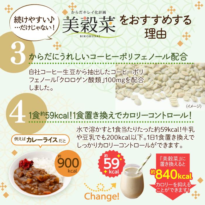 BROOKS（ブルックス） ダイエット ドリンク 健康 美容 食物せんい