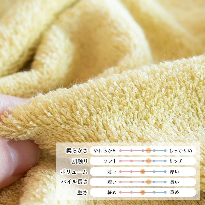 今治タオル バスタオル 2枚セット レオン タオル 送料無料 (宅配