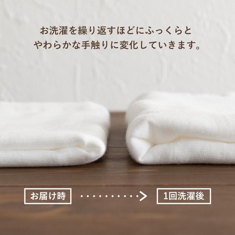 ガーゼタオル フェイスタオル 1枚 スピードライ 日本製 泉州タオル タオル 送料無料 (ポスト投函) speedry 速乾 | 泉州タオル | 10