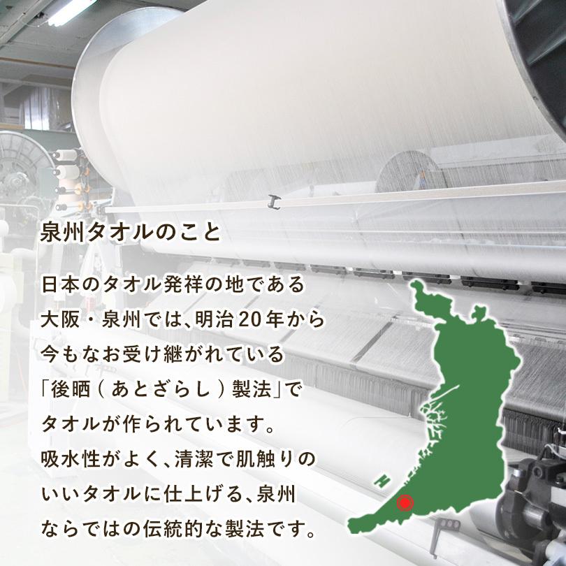 ガーゼタオル フェイスタオル 3枚 スピードライ 日本製 泉州タオル 送料無料 (ネコポス) speedry 速乾  RSL｜broome｜18