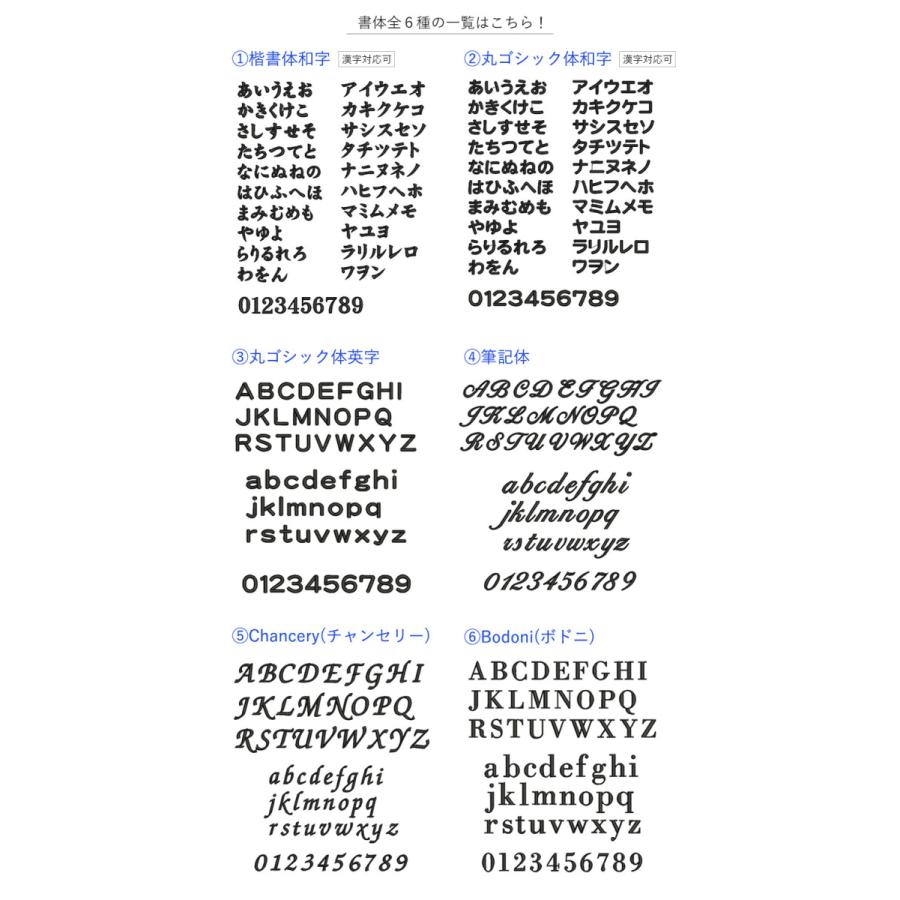 (ギフト) (お名前刺繍入り) 今治タオル バスタオル1枚+フェイスタオル1枚  レオン 名入れ タオル 送料無料 ※紙袋付き | 今治タオル | 13