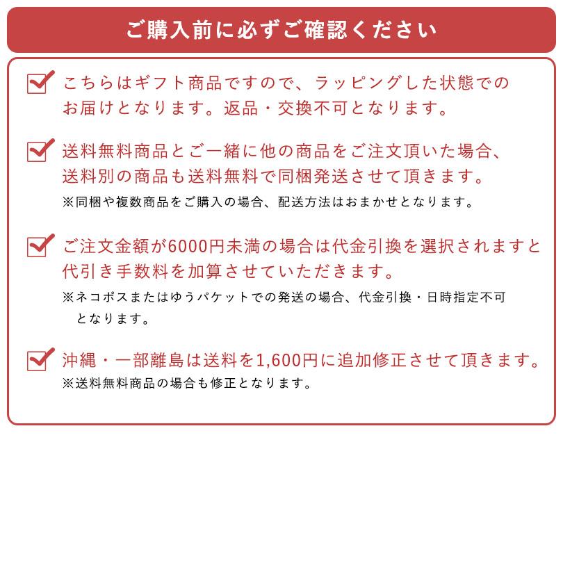 (ギフト) ガーゼケット 今治 シングル ビレア 5重ガーゼ タオルケット タオル 送料無料 ※紙袋付き | 今治タオル | 24