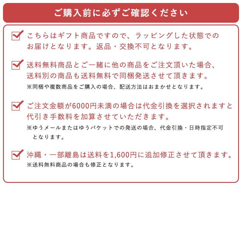 (ギフト) 出産祝い ベビーポンチョ＋バスローブ 今治 Fit-Use 親子でおそろい タオル 送料無料 ※紙袋付き | 今治タオル | 20