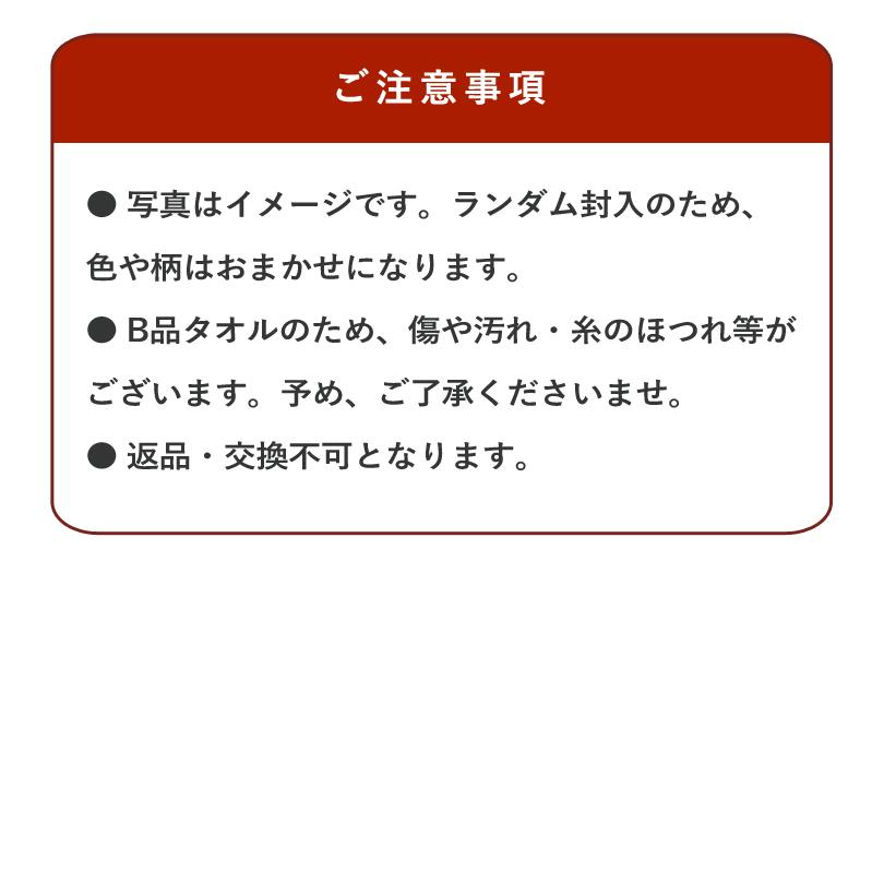 (訳あり福袋) 今治タオル 10点セット タオル福袋 B品 アウトレット タオル 送料無料 (宅配)