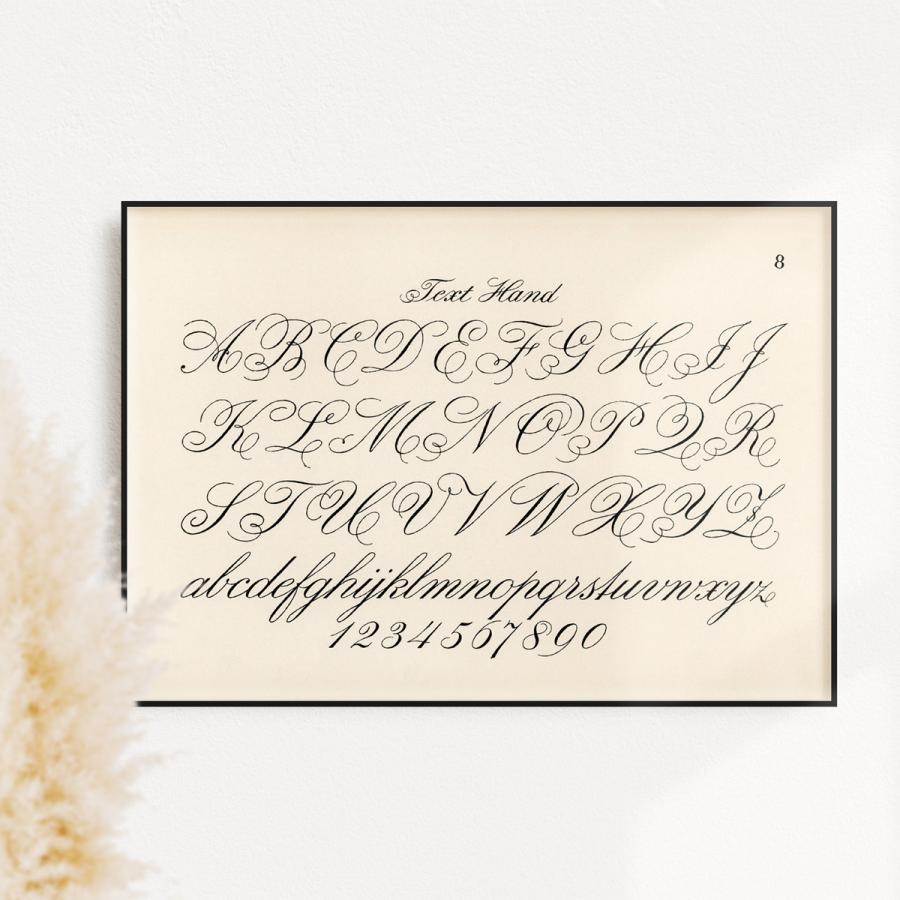 アートポスター タイポグラフィ アルファベット カリグラフィ 英語