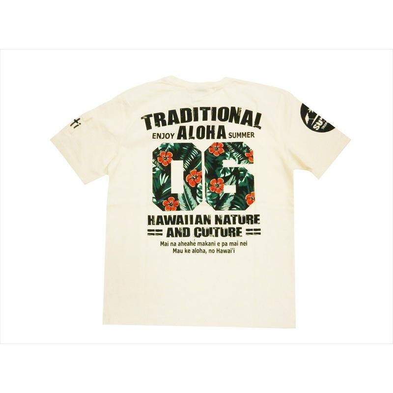 ANTI アンチ/エフ商会 半袖Tシャツ ATT-153 "ALOHA COLLEGE" 抜染プリント ハワイアンＴシャツ オフホワイト｜bros-clothing