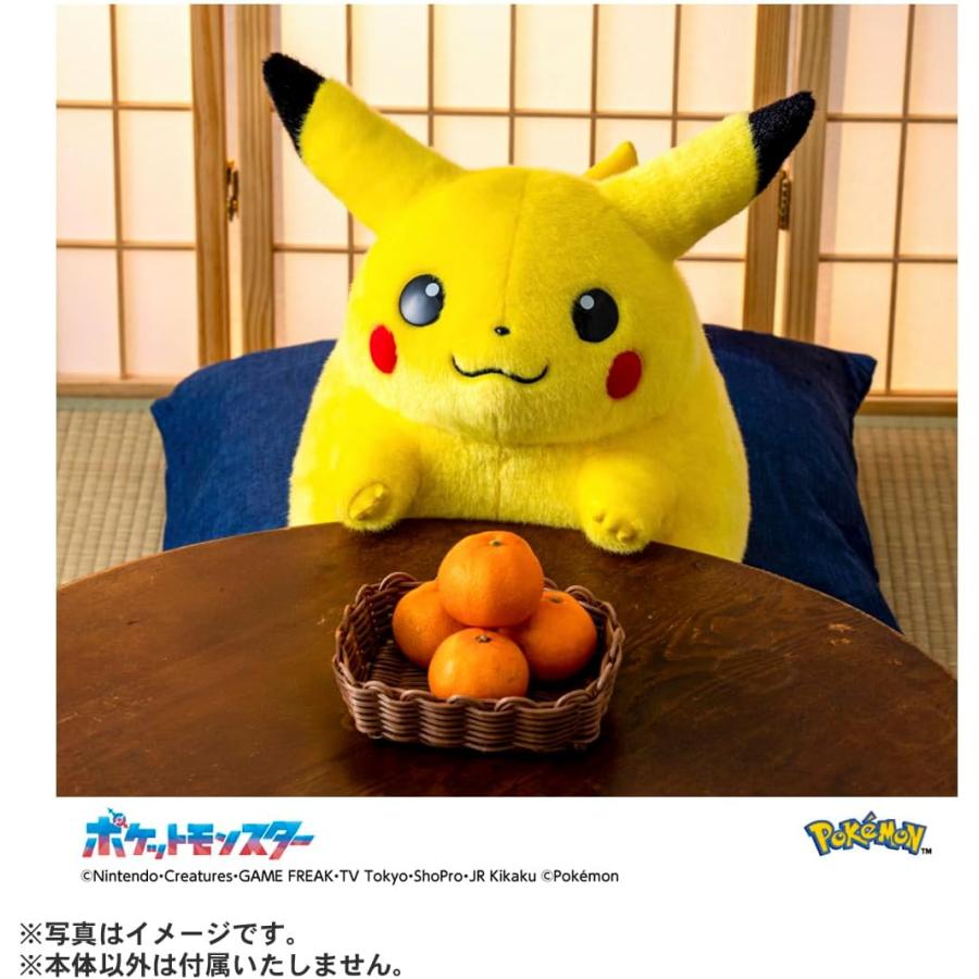 タカラトミー（TAKARA TOMY） おかえりピカチュウ1/1 ポケモン30周年