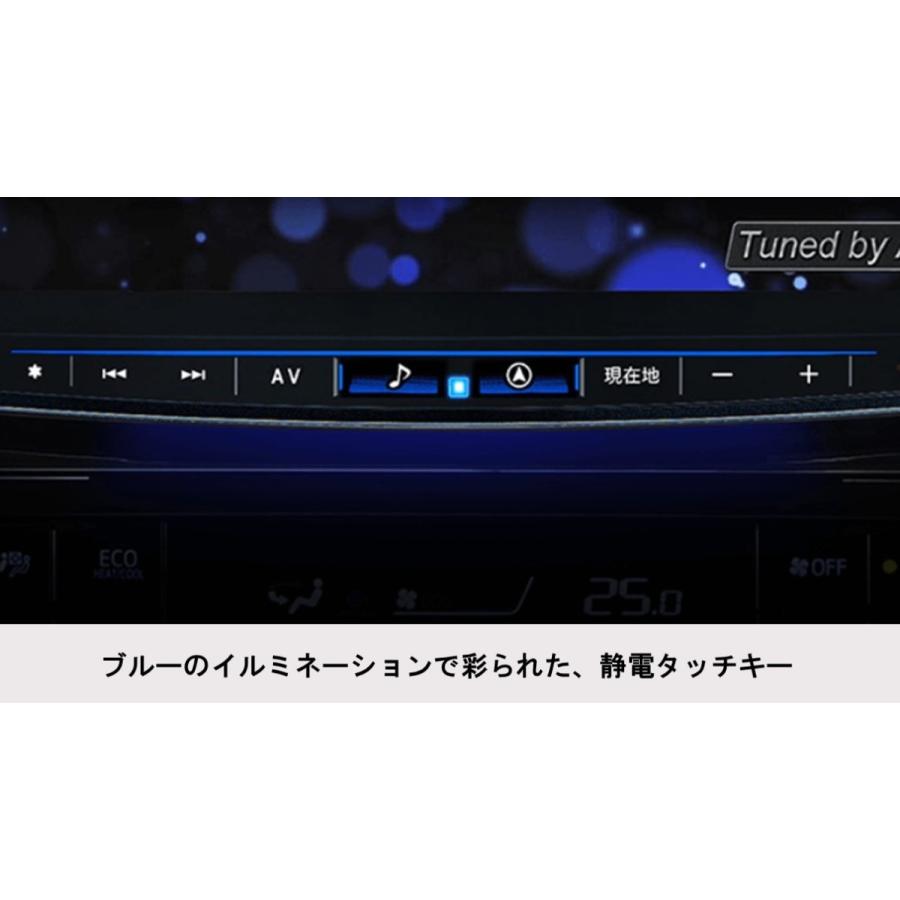 フローティングビッグX11 XF11NX2-HI-200-NR-DR 新品 アルパインビッグ