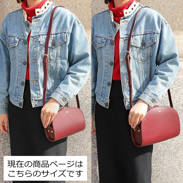A.P.C. アーペーセー ショルダーバッグ サック デミ ルネ ミニ A.P.C. アーペーセー ショルダーバッグ サック デミ ルネ ミニ