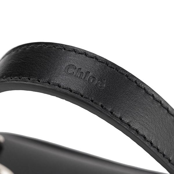Chloe（クロエ） 並行輸入 ハンドバッグ テス CHC22SS143G33 001 お