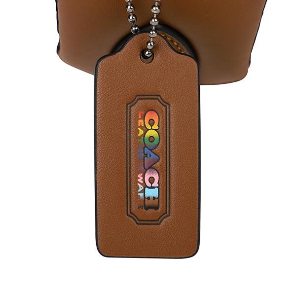 COACH（コーチ） 並行輸入 リュックサック レインボー シグネチャー