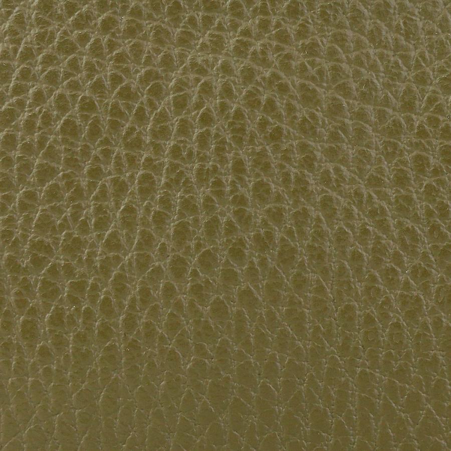 並行輸入 ジャンニキアリーニ ハンドバッグ アリファ BS 8145 23AI GRN お値段見直しました【旧価格 ￥14,800】 | GIANNI CHIARINI | 08