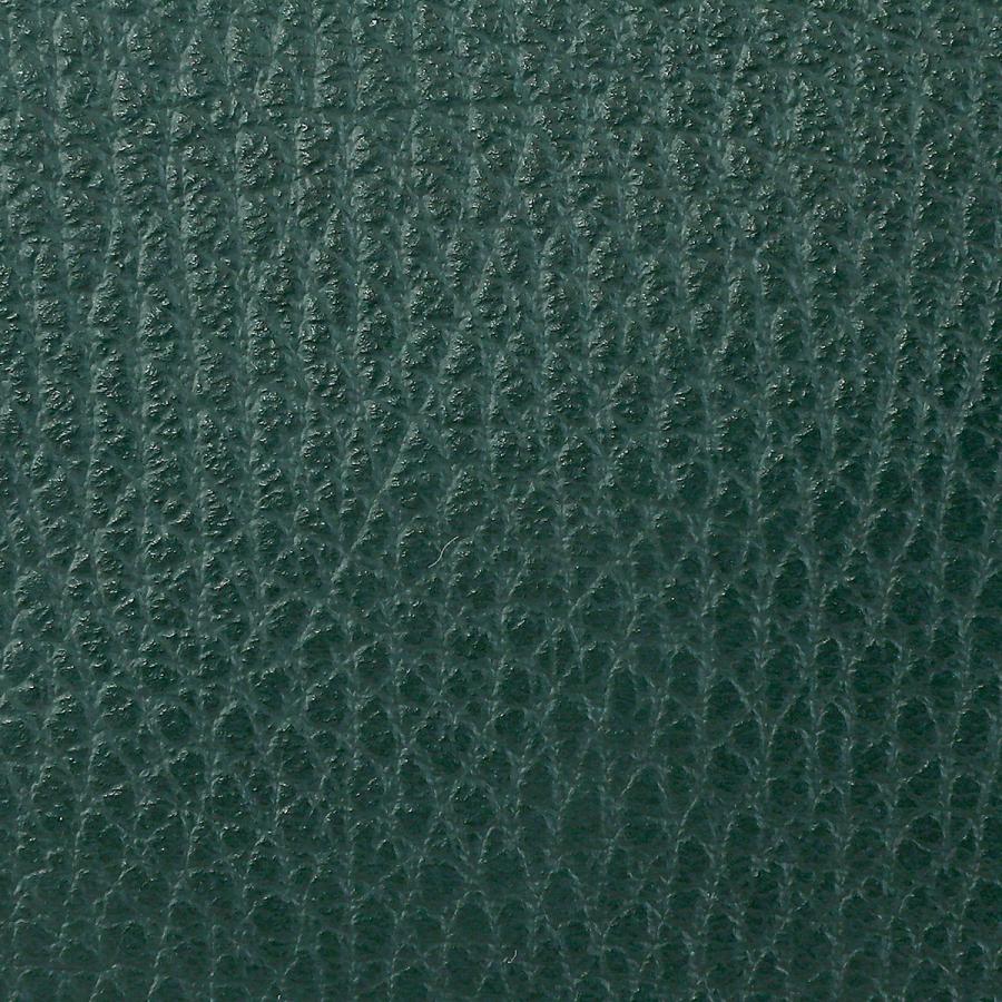 並行輸入 ジャンニキアリーニ ハンドバッグ アリファ BS 8145 23AI GRN お値段見直しました【旧価格 ￥15,600】 | GIANNI CHIARINI | 08