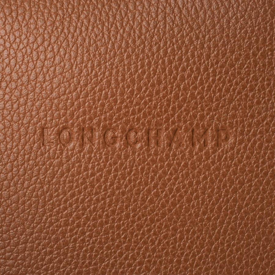 並行輸入 ロンシャン ハンドバッグ LONGCHAMP ル フローネ トップハンドルバッグ Sサイズ 10233 021 121レディース ブラウン 茶 爆買の画像